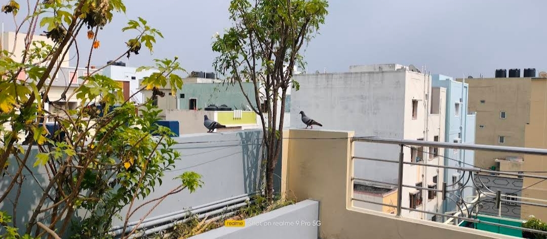 Ganesh Deluxe Boys Hostel — photo 1