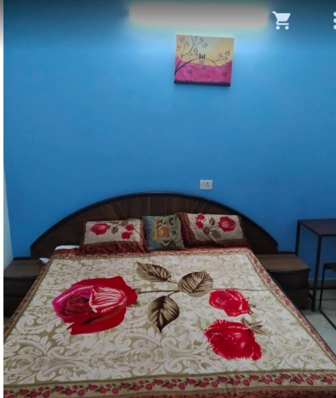 RajV girl's hostel pg — photo 6