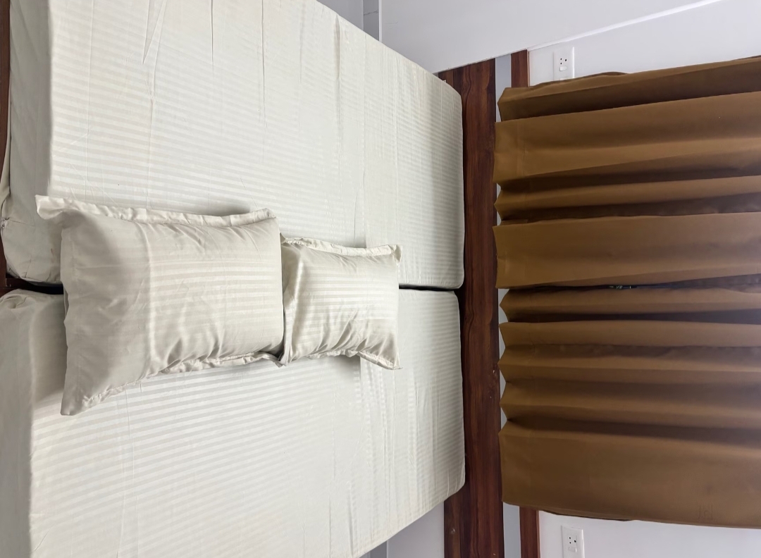Elysian Luxuary Redefined Co Living — photo 4