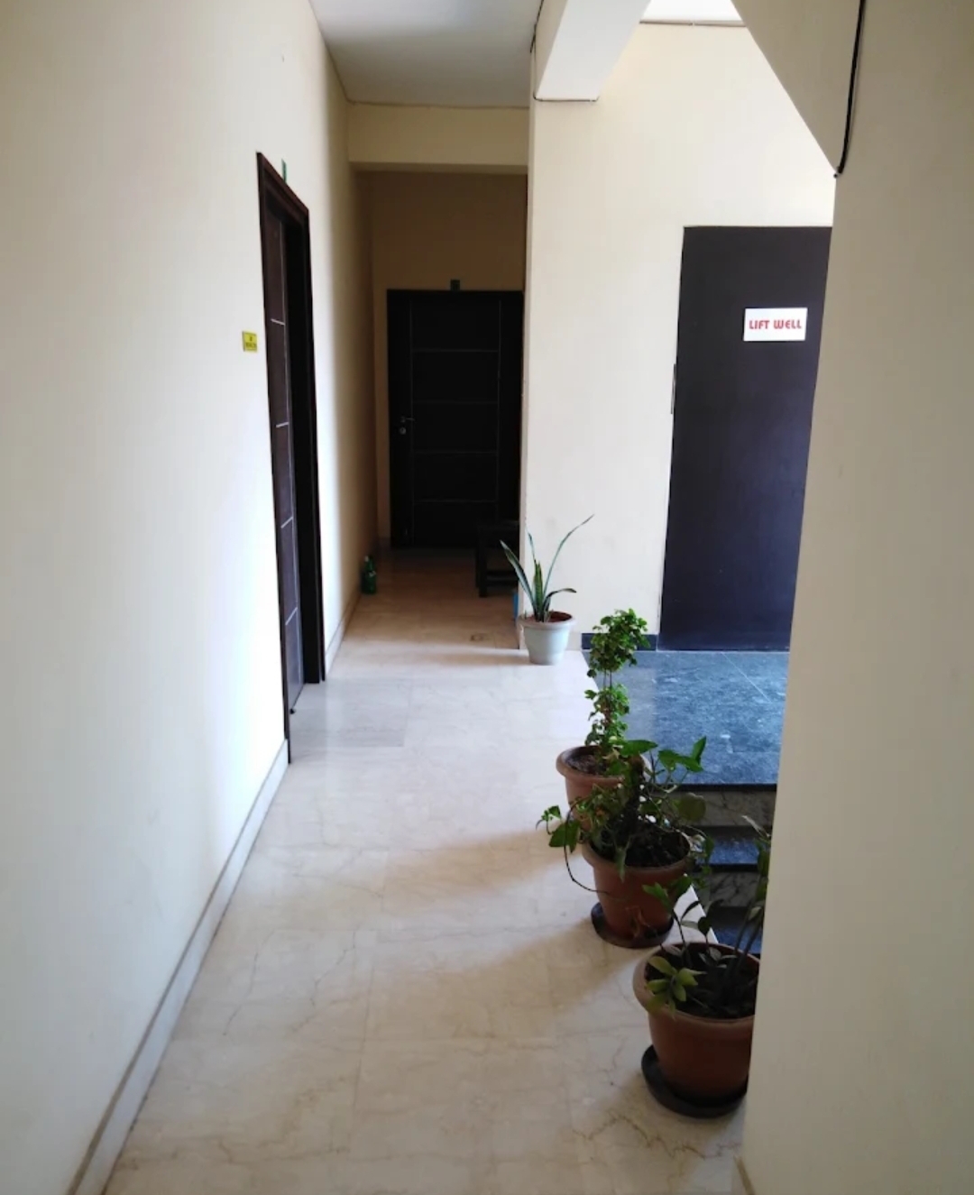 PG wala — photo 2
