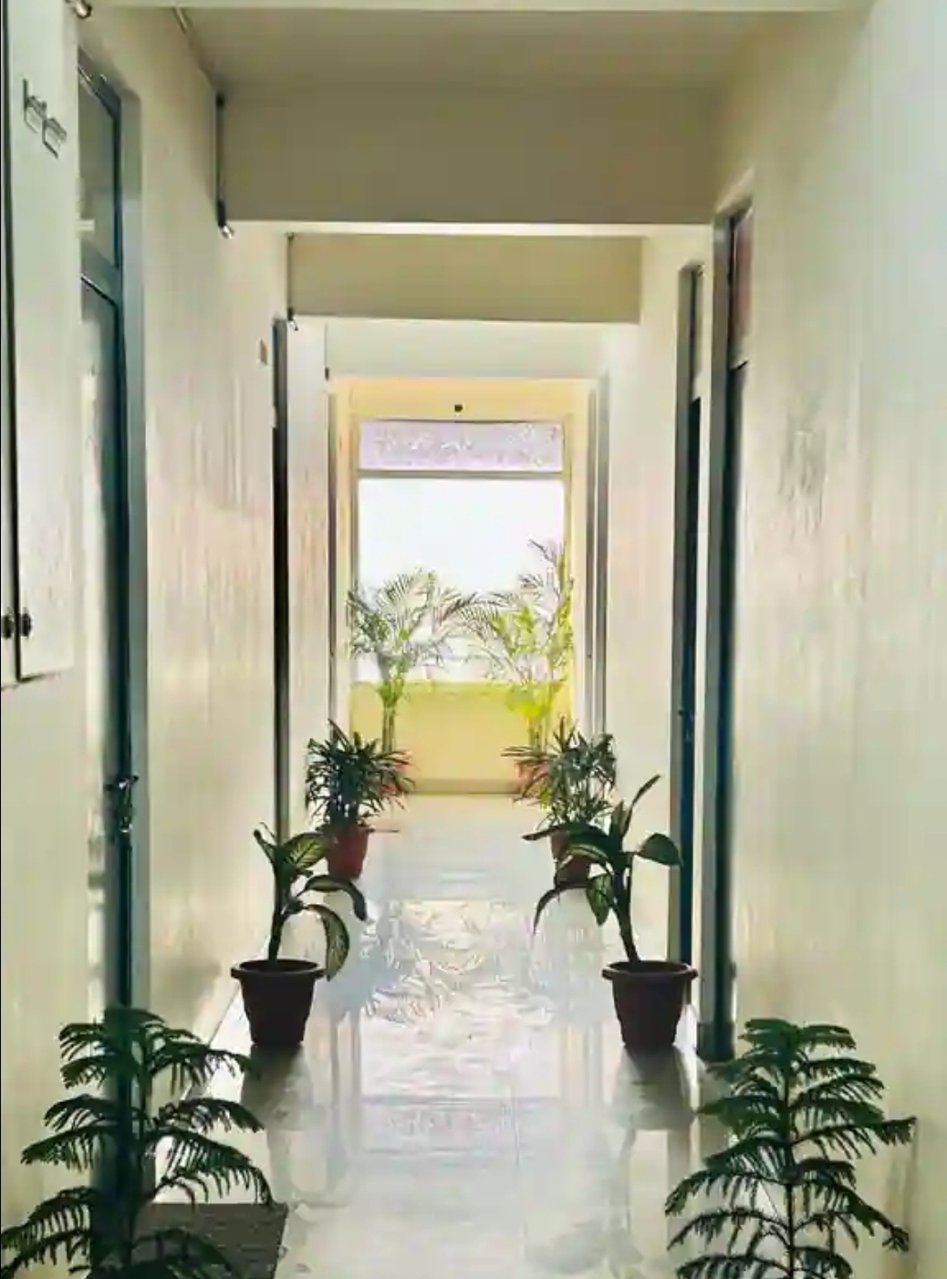 Royal Boys Hostel — photo 4