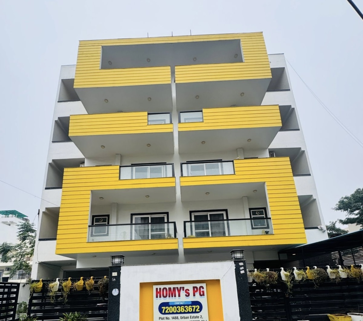 Homy's Pg — photo 5