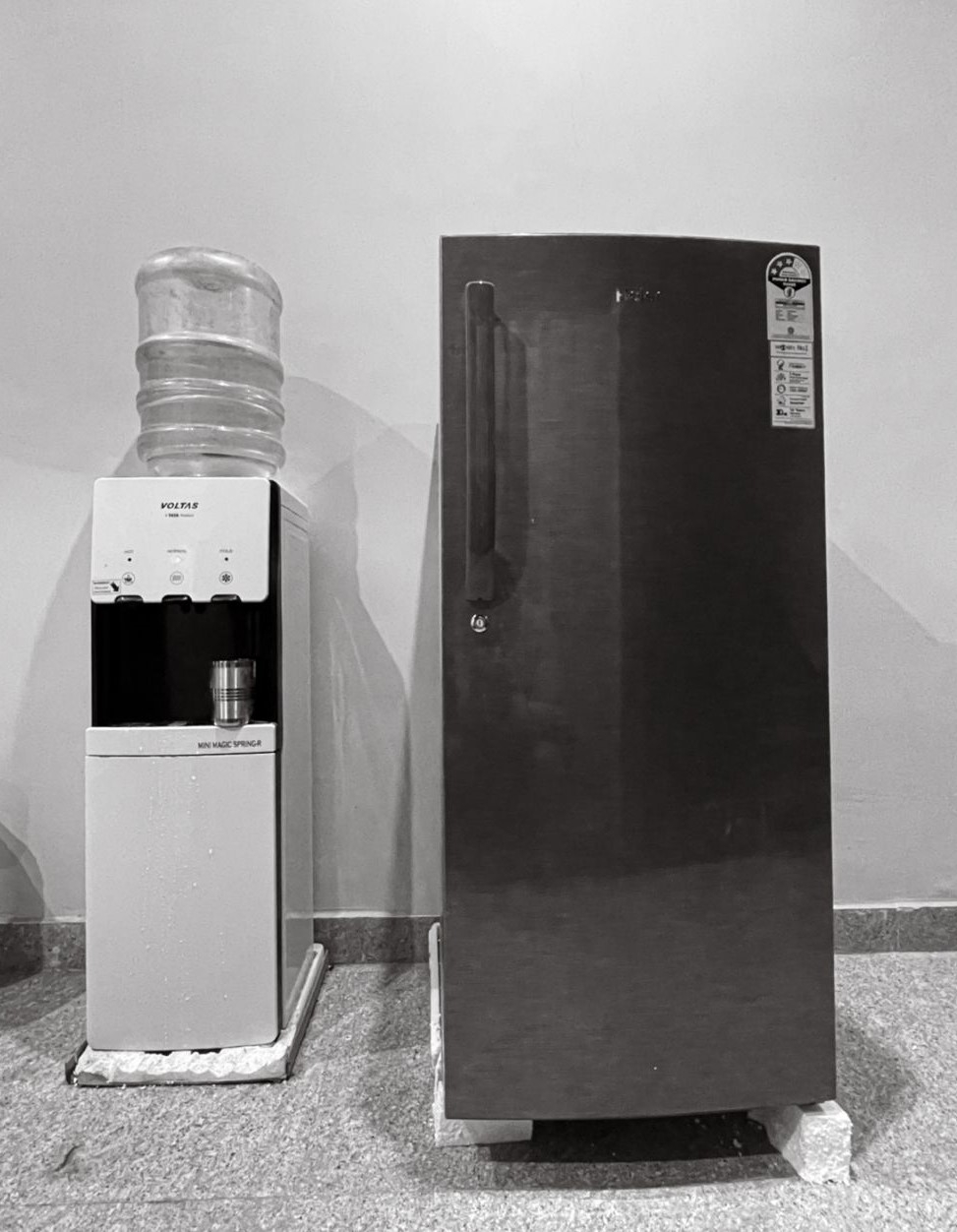 Found PG — photo 3