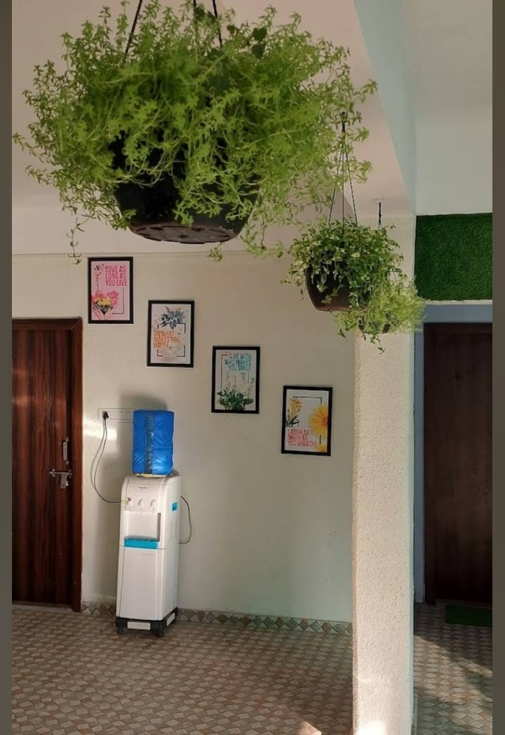 Casa Stays Blossoms pg — photo 2