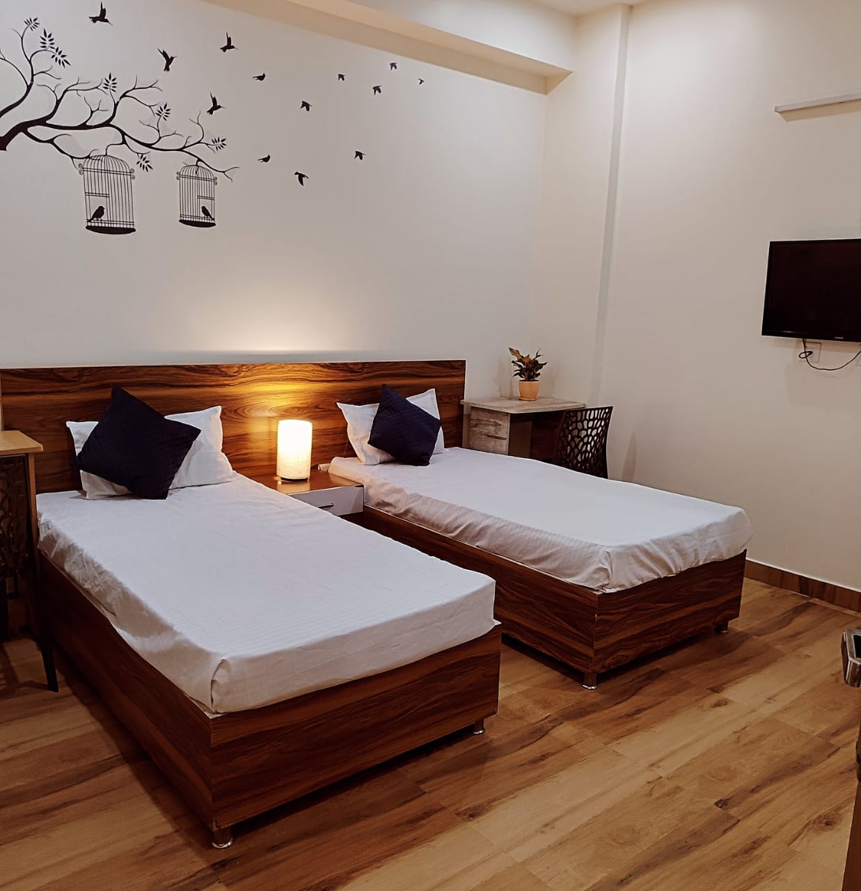 Axel accommodation by annapurna — photo 4
