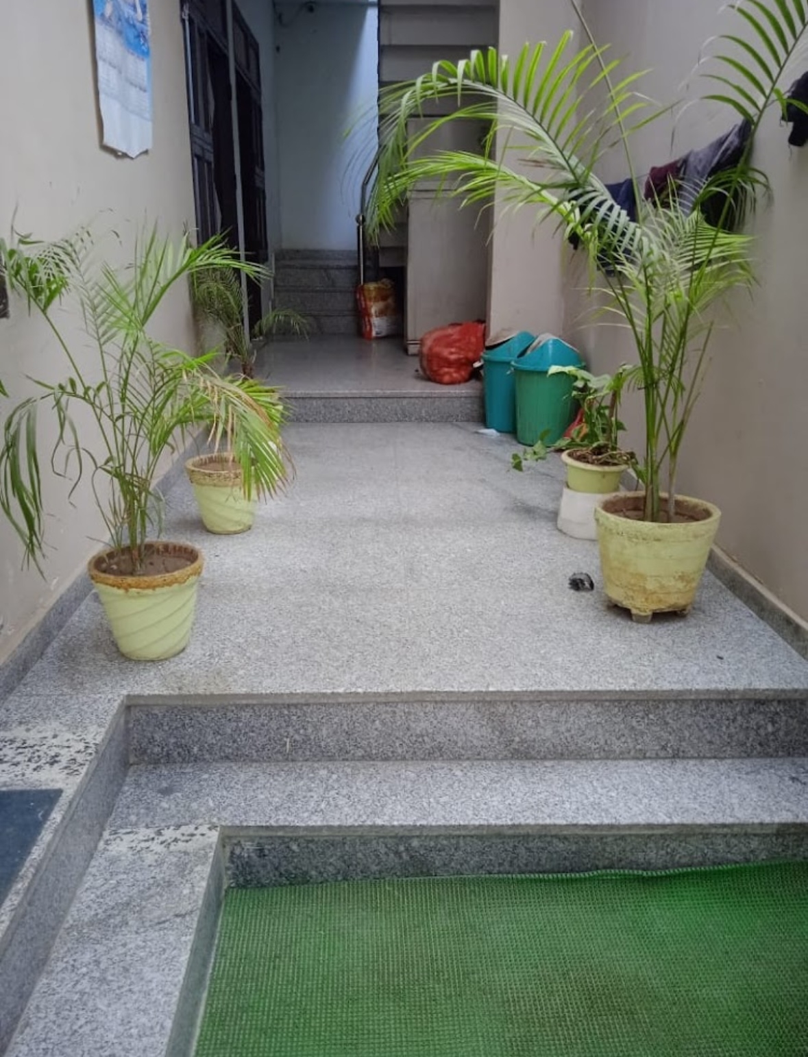 Aiips Boys Pg — photo 6