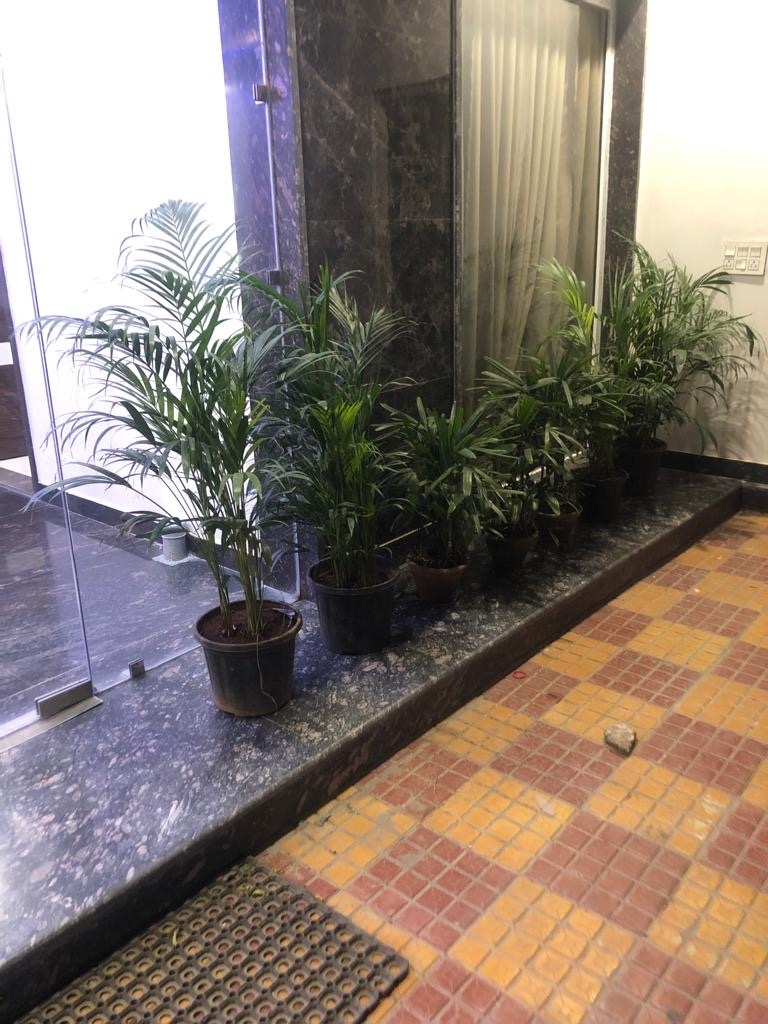 Aditiya place Pg — photo 6