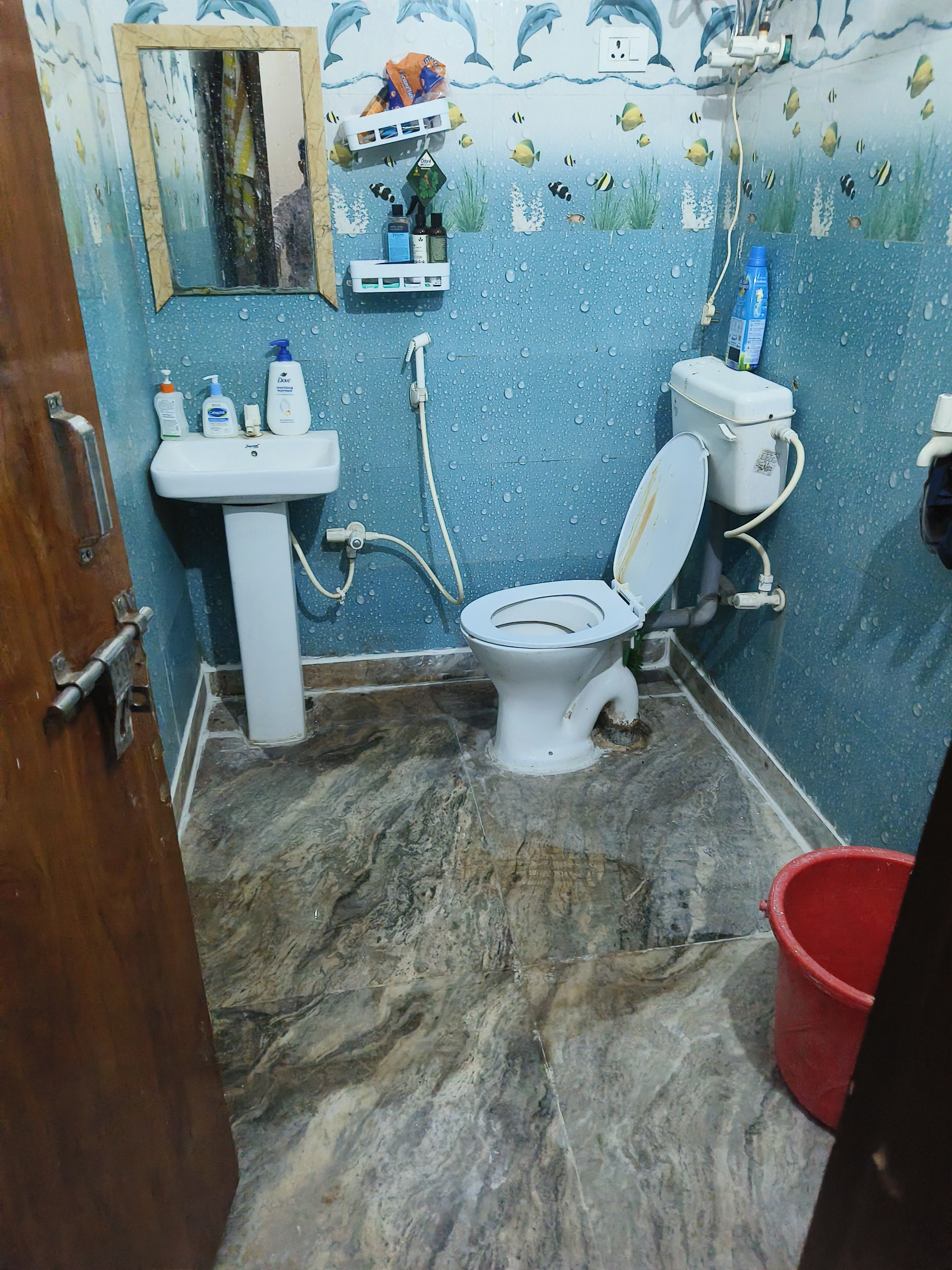 Shiv PG — photo 5