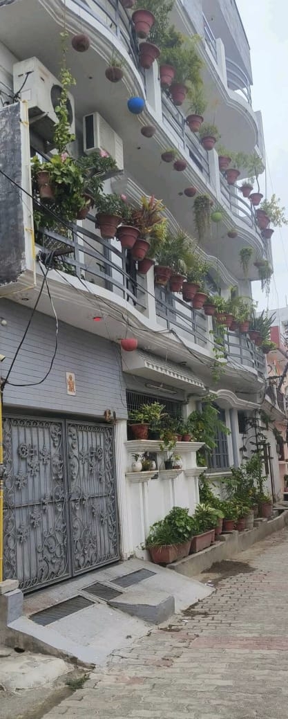 Sai Vass — photo 3