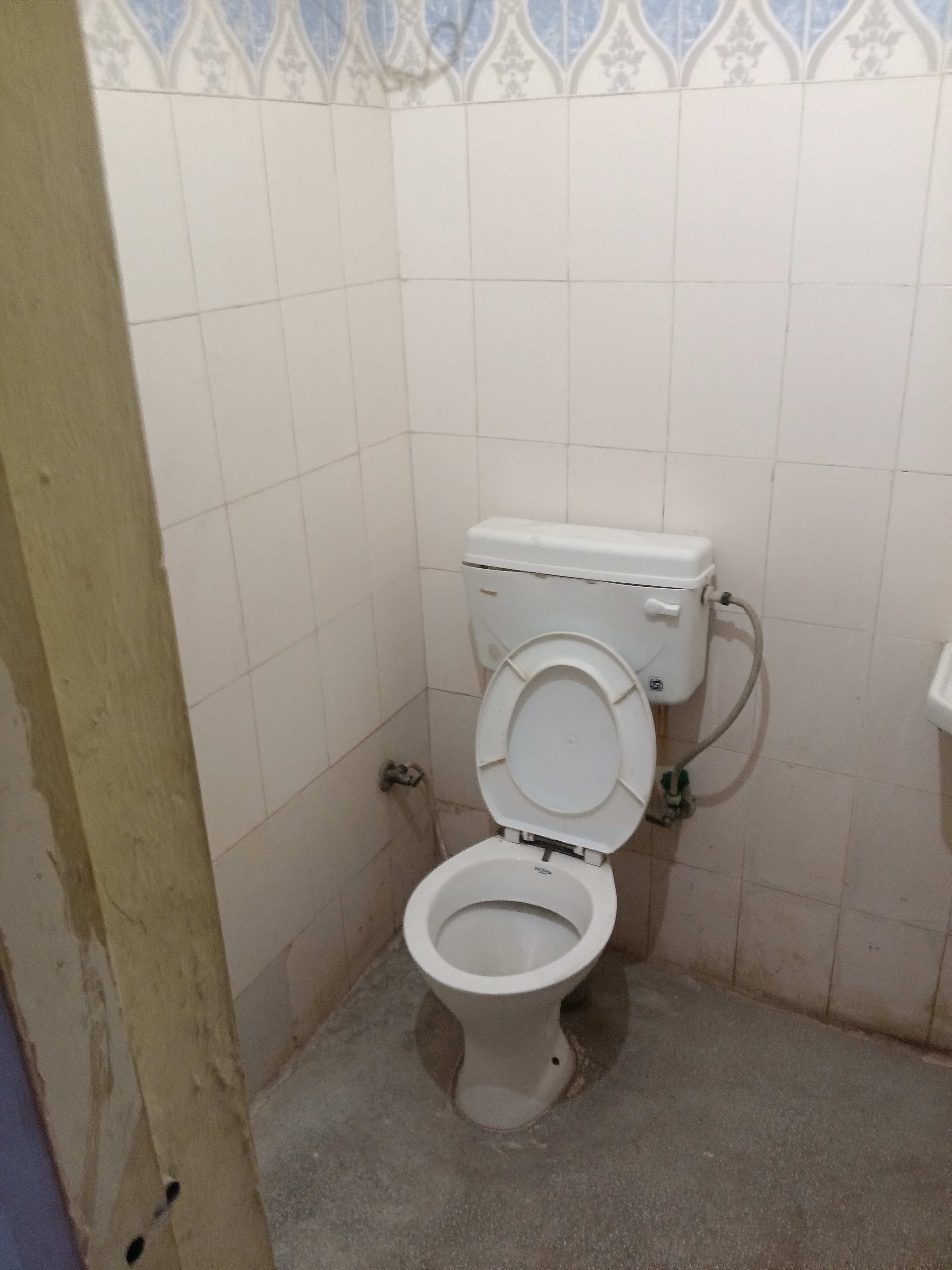 Star PG — photo 5