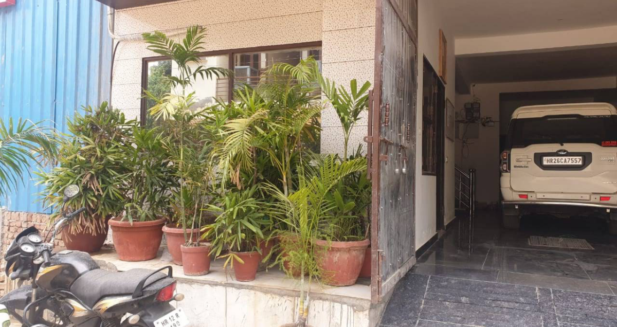 IYRA Pg — photo 6